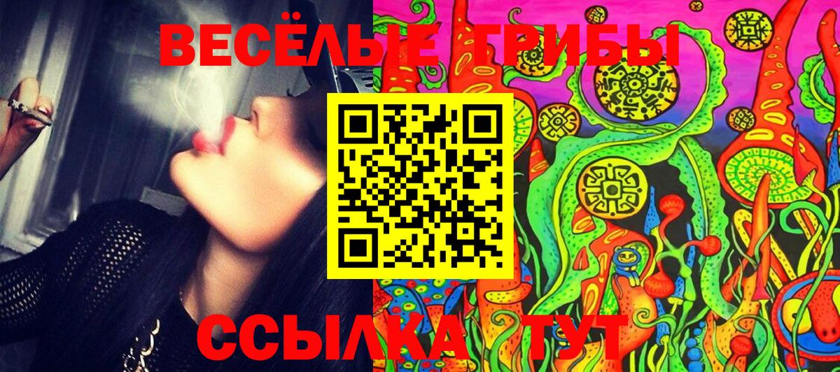 Абакан  Псилоцибиновые грибы GOLDEN TEACHER  Вход с VPN 