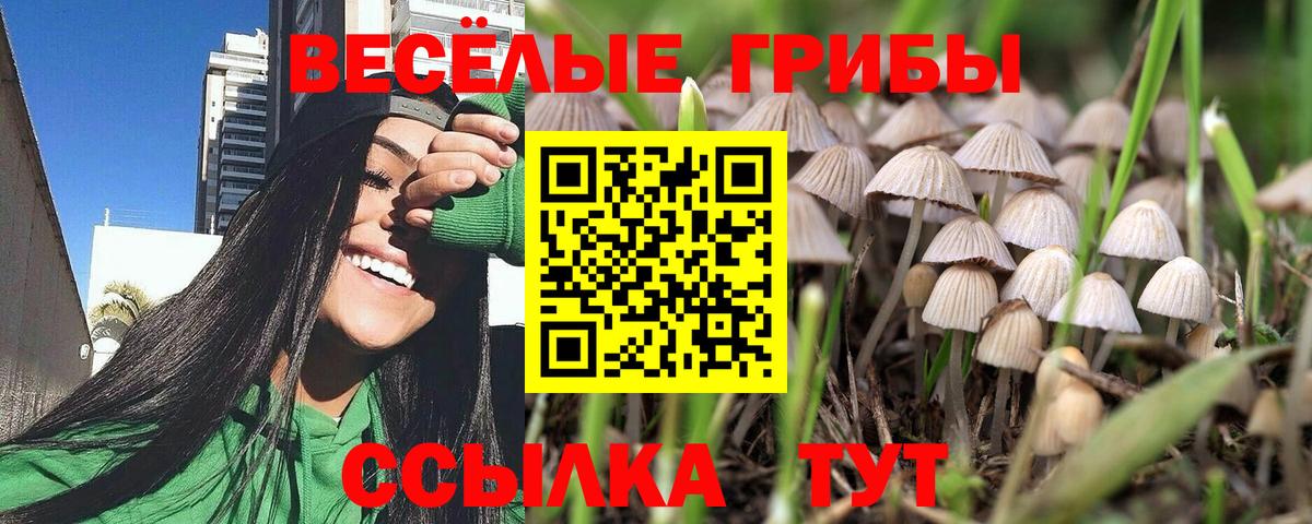 Галлюциногенные грибы прущие грибы Абакан